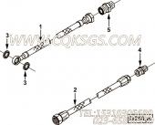 【阳性接头】康明斯CUMMINS柴油机的3866040 阳性接头