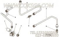 【外螺纹接头】康明斯CUMMINS柴油机的4004381 外螺纹接头