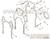 【油封】康明斯CUMMINS柴油机的3002356 油封