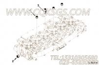 【软管接头】康明斯CUMMINS柴油机的3943240 软管接头