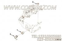 【母接头】康明斯CUMMINS柴油机的4930960 母接头