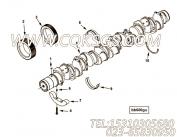 【主轴承】康明斯CUMMINS柴油机的3082350 主轴承
