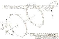 【路政署泵驱动器插头】康明斯CUMMINS柴油机的3004528 路政署泵驱动器插头