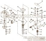 【外螺纹接头】康明斯CUMMINS柴油机的3071036 外螺纹接头