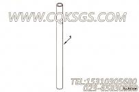 【软管】康明斯CUMMINS柴油机的3924849 软管