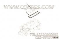 【诠释流形盖垫片】康明斯CUMMINS柴油机的3901999 诠释流形盖垫片