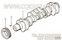 【发动机曲轴】康明斯CUMMINS柴油机的3016096 发动机曲轴