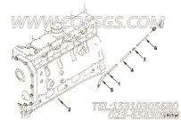 【套件和组件】康明斯CUMMINS柴油机的3907680 套件和组件