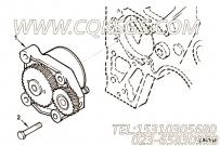 【引擎ISCE8.3的机油泵组】 康明斯六角头螺栓报价,参数及图片