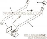 【外螺纹接头】康明斯CUMMINS柴油机的3252862 外螺纹接头