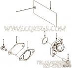 【加油管】康明斯CUMMINS柴油机的3686343 加油管