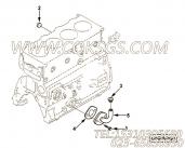 【加油管】康明斯CUMMINS柴油机的C6205217611 加油管