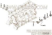 【加油管】康明斯CUMMINS柴油机的2870177 加油管