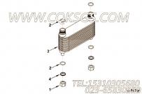 【机油冷却器】康明斯CUMMINS柴油机的3635564 机油冷却器