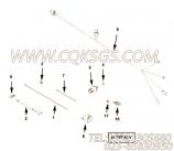 【线束】康明斯CUMMINS柴油机的4295497 线束