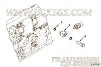 【Screw, Banjo Connector】康明斯CUMMINS柴油机的3954860 Screw, Banjo Connector