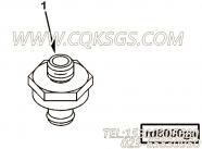 【放油阀】康明斯CUMMINS柴油机的3094867 放油阀