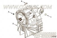 【船用齿轮】康明斯CUMMINS柴油机的4019973 船用齿轮