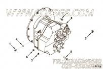 【船用齿轮】康明斯CUMMINS柴油机的4933265 船用齿轮