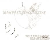 【船用齿轮】康明斯CUMMINS柴油机的5283870 船用齿轮