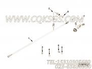 【螺塞】康明斯CUMMINS柴油机的4944472 螺塞