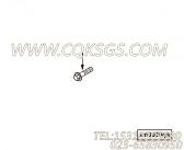 【六角法兰螺丝】康明斯CUMMINS柴油机的C0143501235 六角法兰螺丝