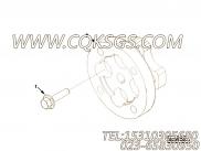 【范试点间隔】康明斯CUMMINS柴油机的5273217 范试点间隔