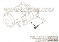 【12 角头螺栓】康明斯CUMMINS柴油机的3278483 12 角头螺栓