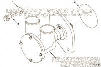 【海水泵】康明斯CUMMINS柴油机的3085650 海水泵