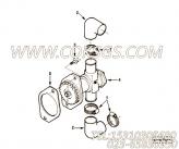 【海水泵】康明斯CUMMINS柴油机的3912139 海水泵