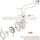 【海水泵】康明斯CUMMINS柴油机的3349243 海水泵
