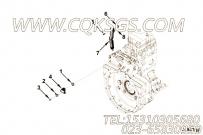 【内六角螺钉】康明斯CUMMINS柴油机的3971359 内六角螺钉