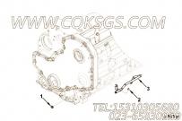 【机油引流管】康明斯CUMMINS柴油机的3990150 机油引流管