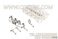 【排气歧管】康明斯CUMMINS柴油机的2831005 排气歧管