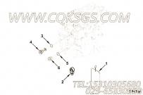 【Connector, Banjo】康明斯CUMMINS柴油机的3954954 Connector, Banjo