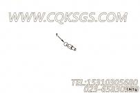 【油门杆枢轴销】康明斯CUMMINS柴油机的3931900 油门杆枢轴销