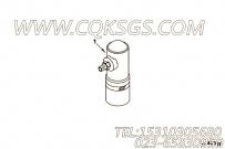【限制指标】康明斯CUMMINS柴油机的3630002 限制指标