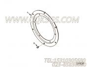 【传送转接器】康明斯CUMMINS柴油机的3905826 传送转接器