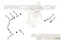 【软管】康明斯CUMMINS柴油机的5254326 软管