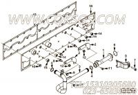 【Tube, Water Transfer】康明斯CUMMINS柴油机的2891931 Tube, Water Transfer