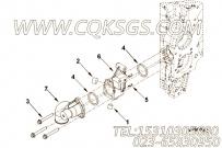 【进水连接】康明斯CUMMINS柴油机的3948081 进水连接