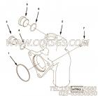 【进水连接】康明斯CUMMINS柴油机的2883299 进水连接