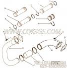 【Tube, Water Transfer】康明斯CUMMINS柴油机的3642036 Tube, Water Transfer