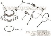 【出水口连接】康明斯CUMMINS柴油机的3086030 出水口连接