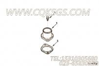 【出水联接MTG】康明斯CUMMINS柴油机的3062380 出水联接MTG