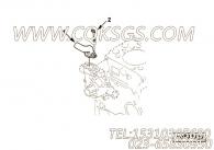 【出水口连接】康明斯CUMMINS柴油机的C6204116430 出水口连接