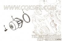 【发动机EQB225-10的水泵组】 康明斯矩形密封圈报价,参数及图片