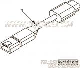 【ETR CNT MDL WRG线束】康明斯CUMMINS柴油机的3104487 ETR CNT MDL WRG线束