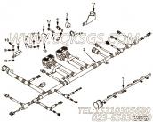 【ETR CNT MDL WRG线束】康明斯CUMMINS柴油机的2864509 ETR CNT MDL WRG线束