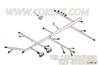 【线束】康明斯CUMMINS柴油机的4927202 线束